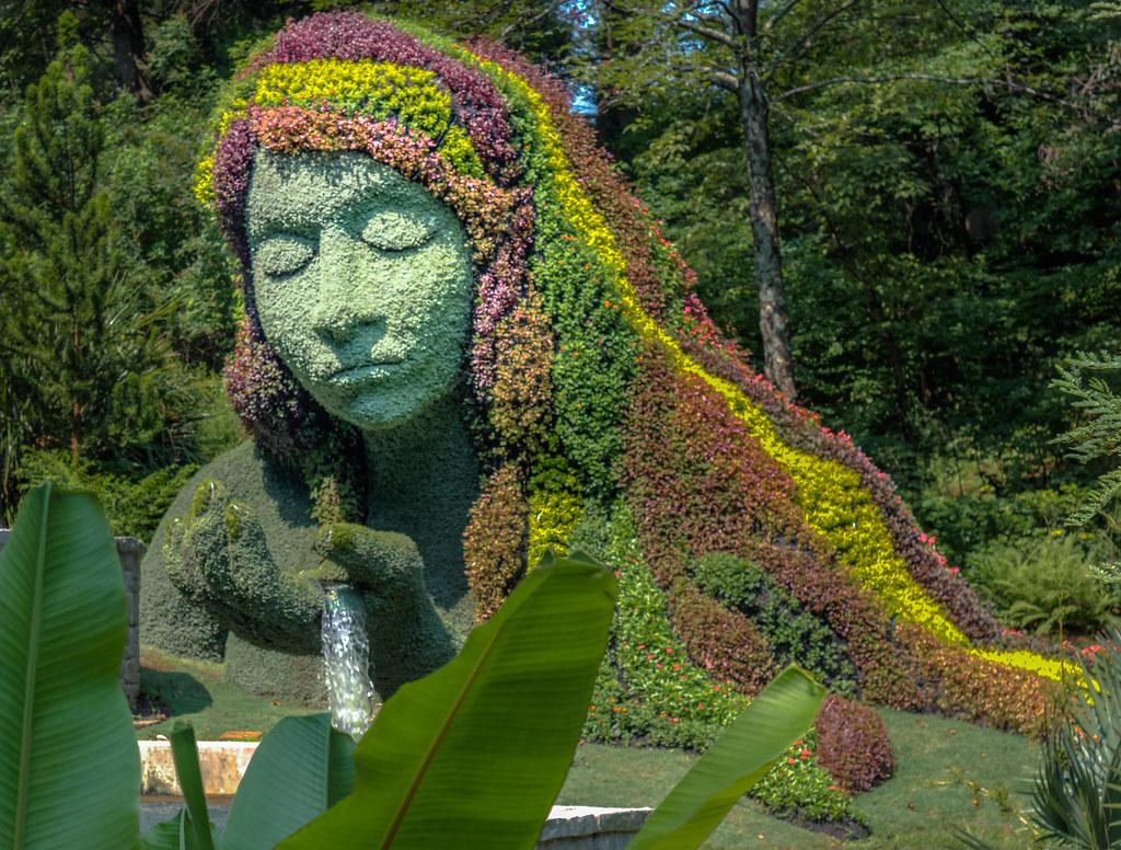 Bitkisel Bir Söyleşi / 5. Bölüm