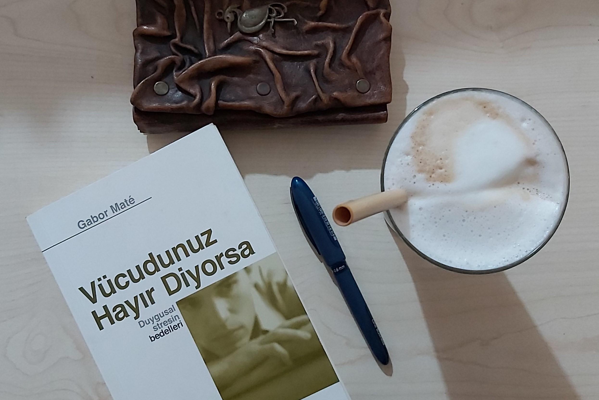 GABOR MATE İLE ZİHİNDEN FİZİĞE YOLCULUK-II