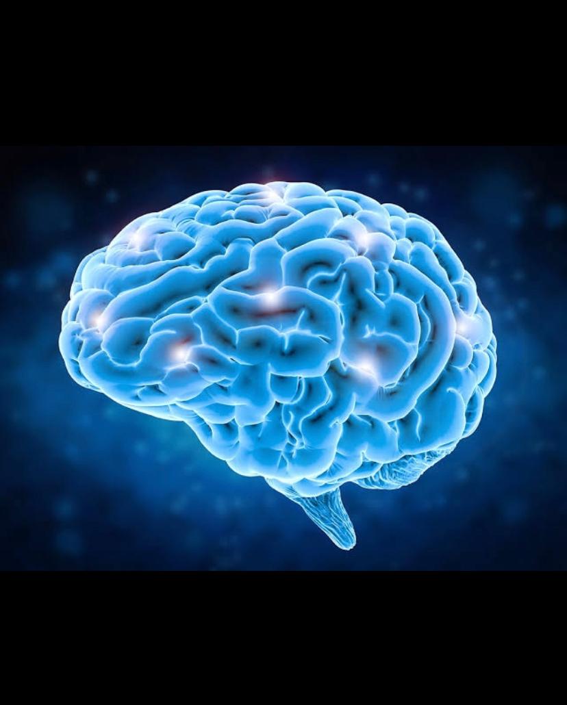 Korku Bizi Nasıl Etkiler?