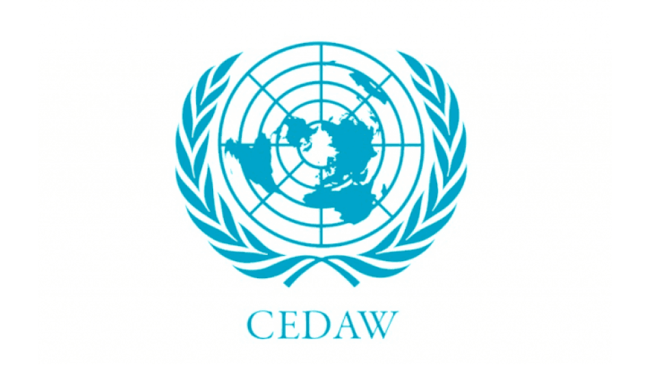Kadına Karşı Her Türlü Ayrımcılığın Yok Edilmesi Sözleşmesi ve Türkiye'de Uygulanması