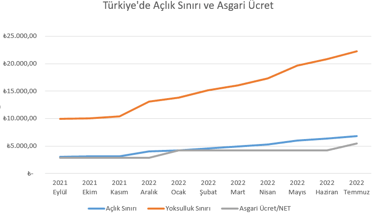 Türkiye'de Açlık Sınırı ve Asgari Ücret-3