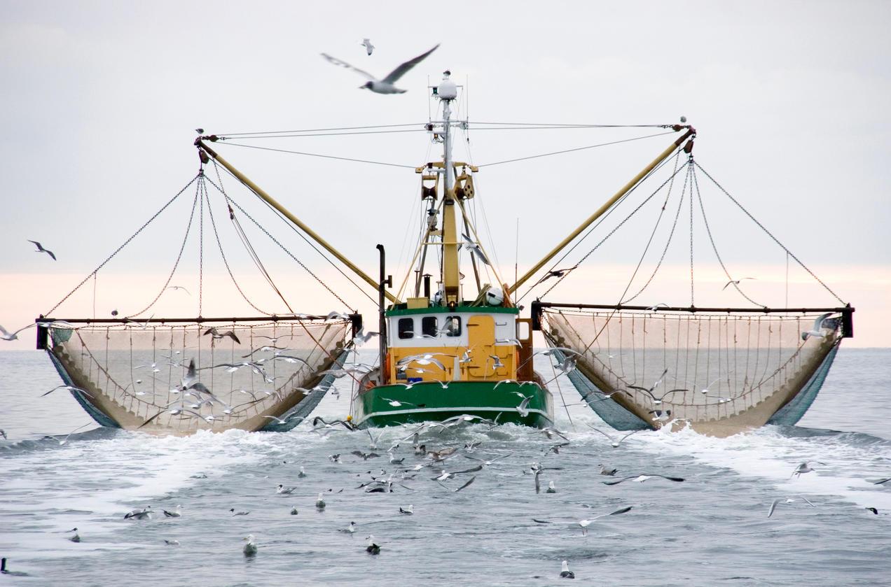 The Serious Problem That Is Overfishing