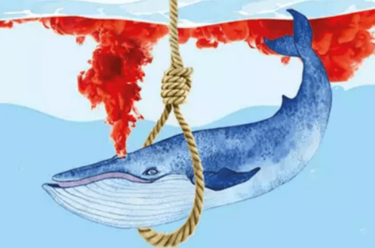 Balinalar Neden İntihar Eder?