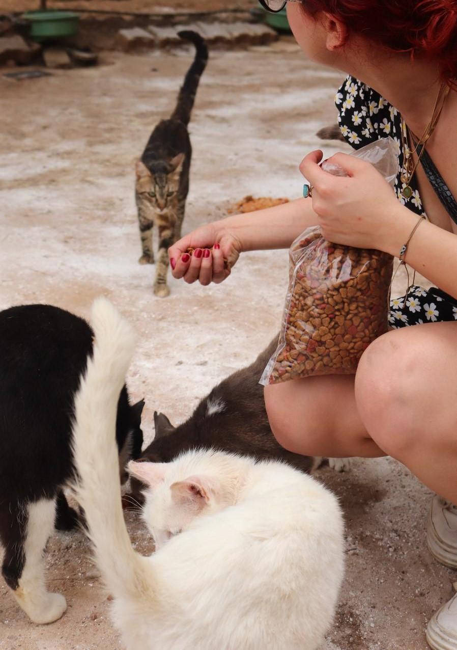 Pati Bilincinden Sorumluluk Bilincine