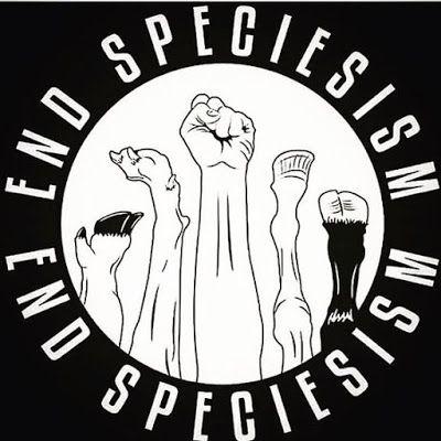 Hayvanlar Hak Ettikleri Haklara Ne Kadar Sahipler?