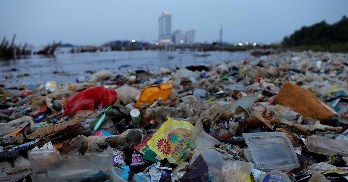 Çevre Sorunlarına Sosyolojik Bakış