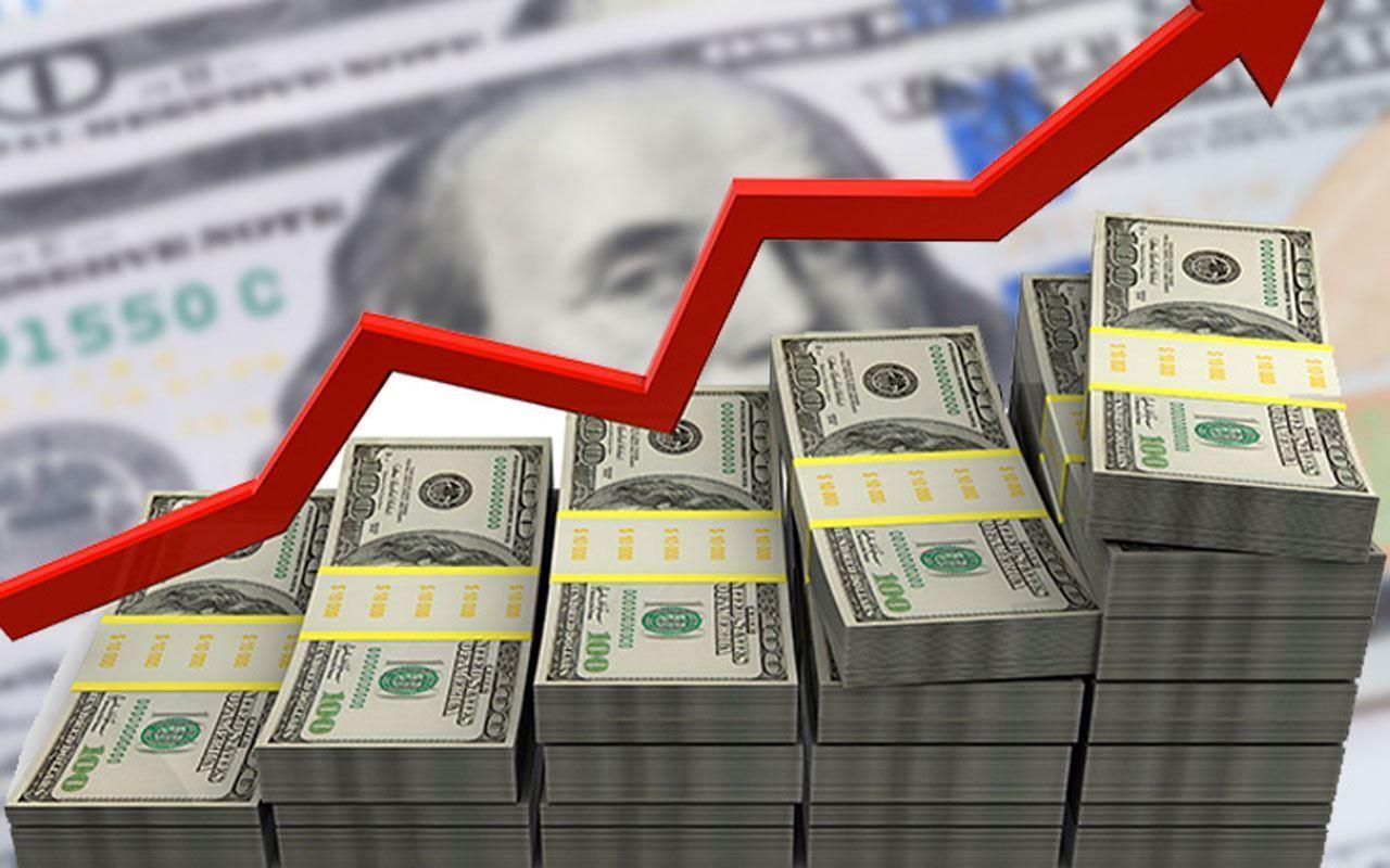 Türk Lirasının Döviz Karşısındaki Durumu ve Nedenleri