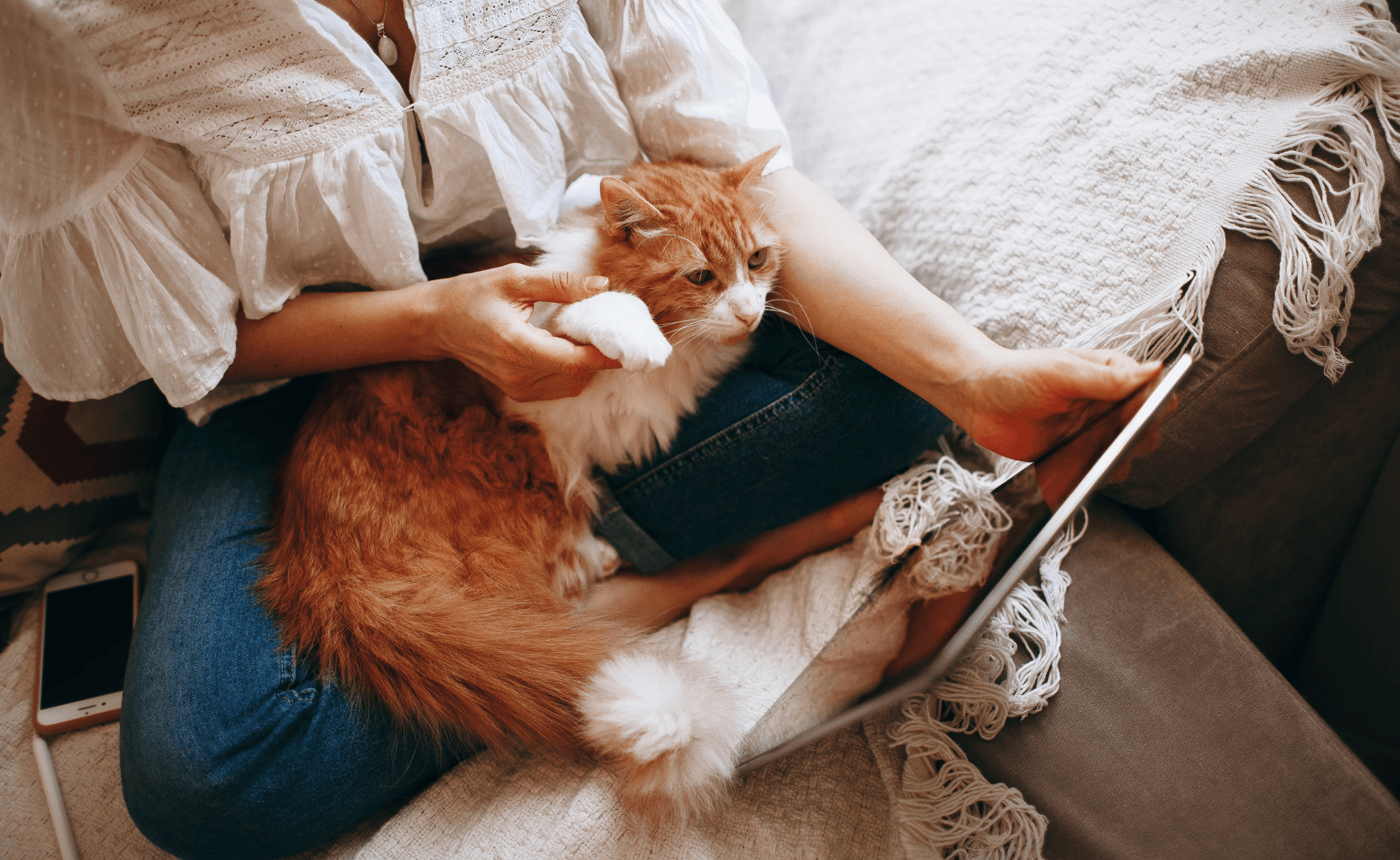 Sıcacık Bir Kahve Gibi İçinizi Isıtacak 4 Cozy Oyun