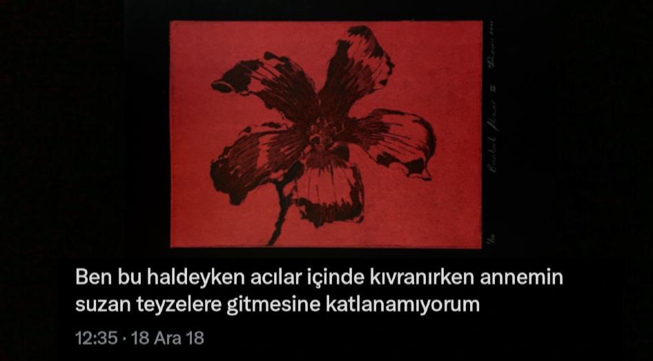 Annem Suzan Teyzelere Gitti