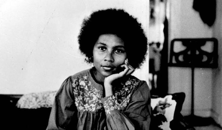 Why did bell hooks lowercase her name?