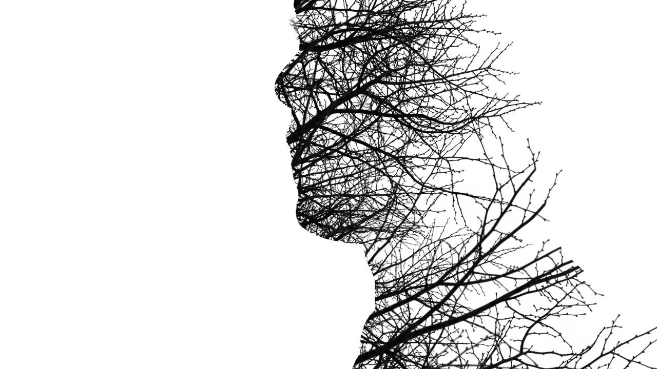 Dunning-Kruger Etkisi