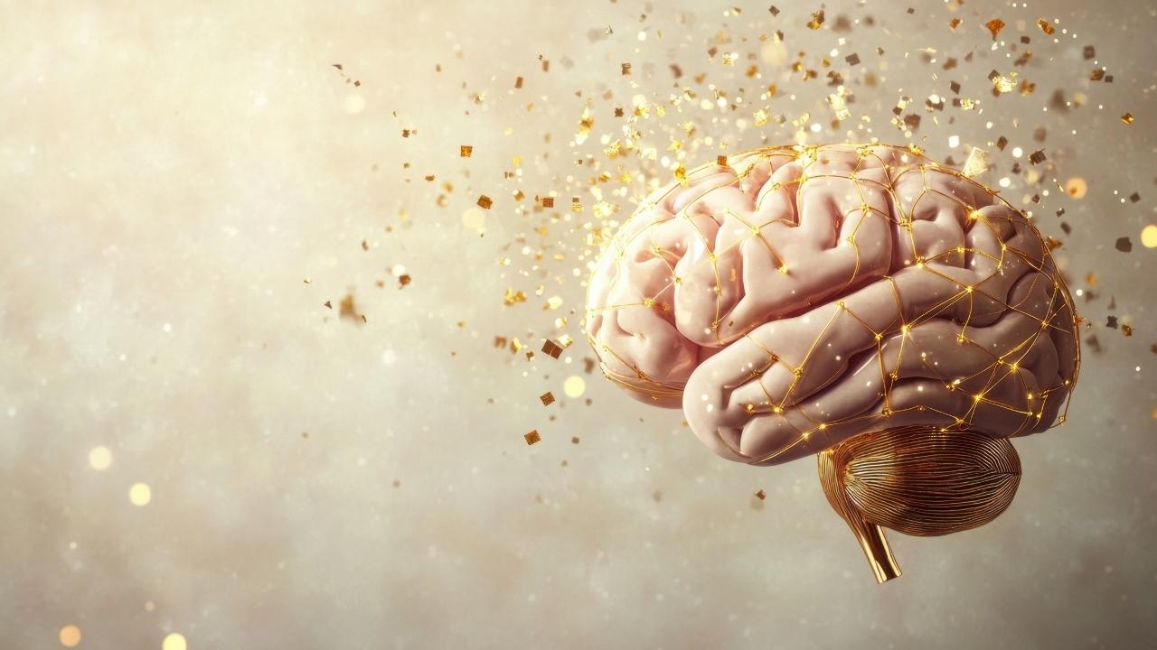 Bilişsel Alçakgönüllülük