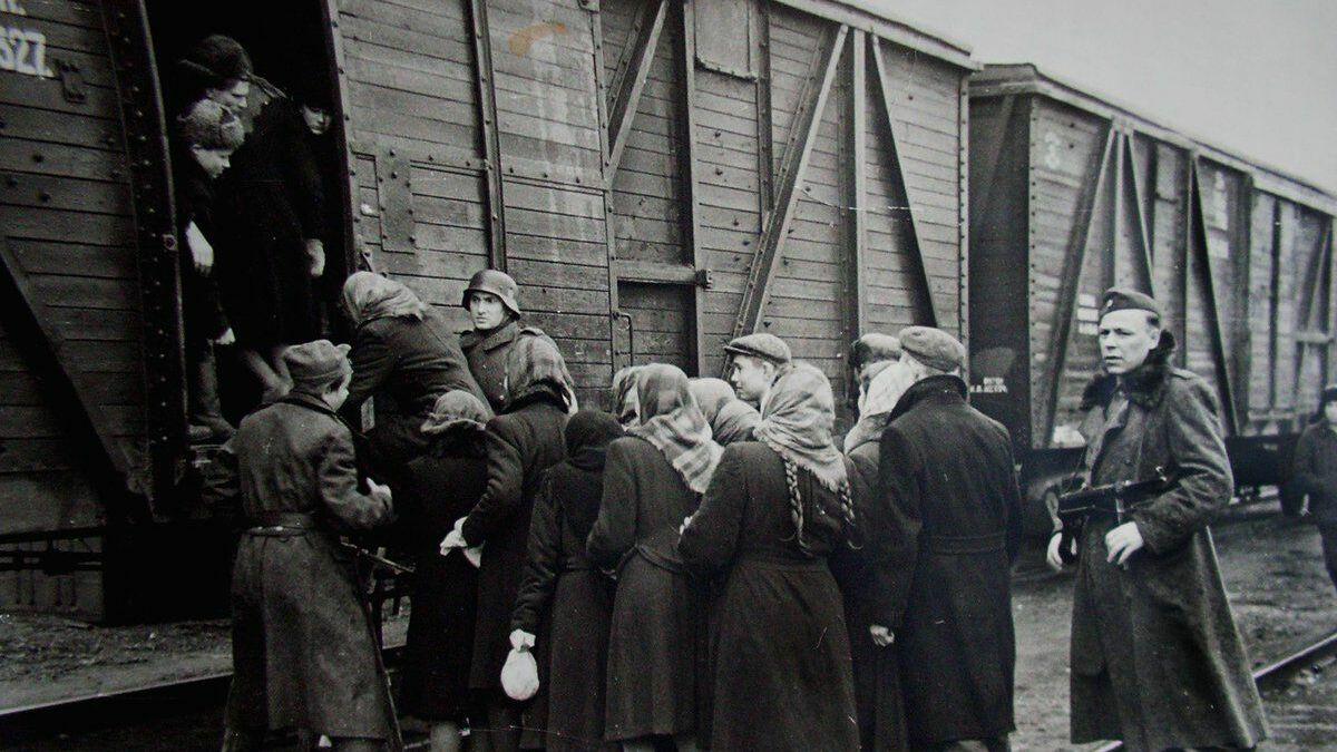Sürgün Hikayeleri: Yaşlığıma Toyalmadım, Vatanıma Doyamadım