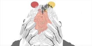 Toplumda Uyma Davranışları