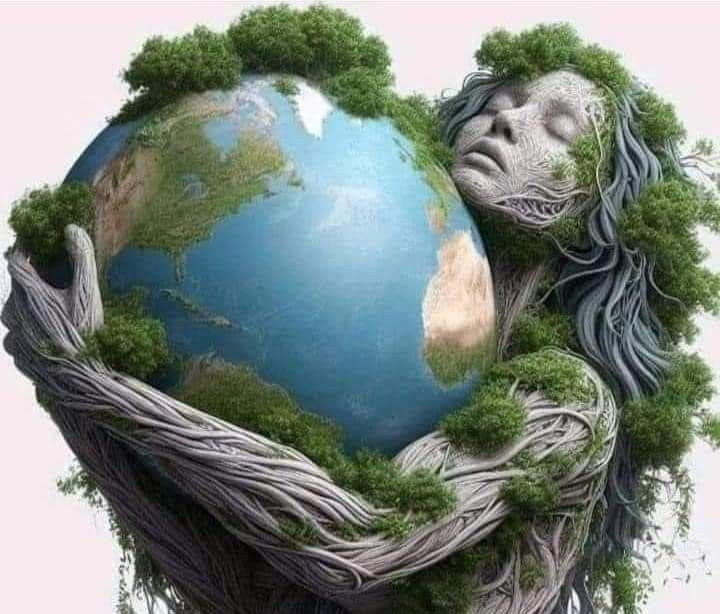 İklim Mülteciliği Nedir?