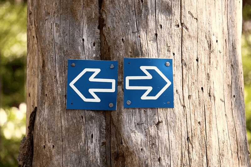 Dünyada Sağ Rejimlerin ve Radikalliğin Yükselişi