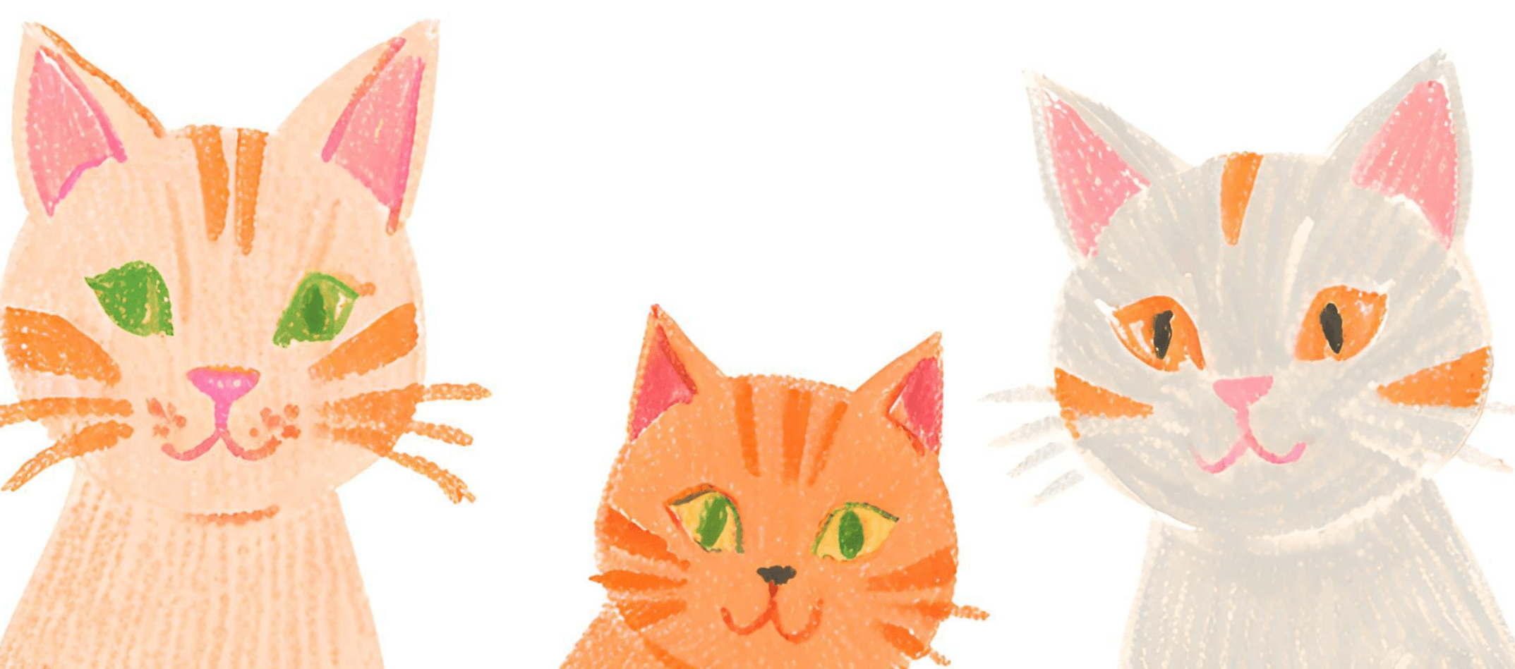 Kürkler Bizlere Neler Söyler? Kedilerin Kürkleri ve Karakterleri Üzerine Kişisel Gözlemler